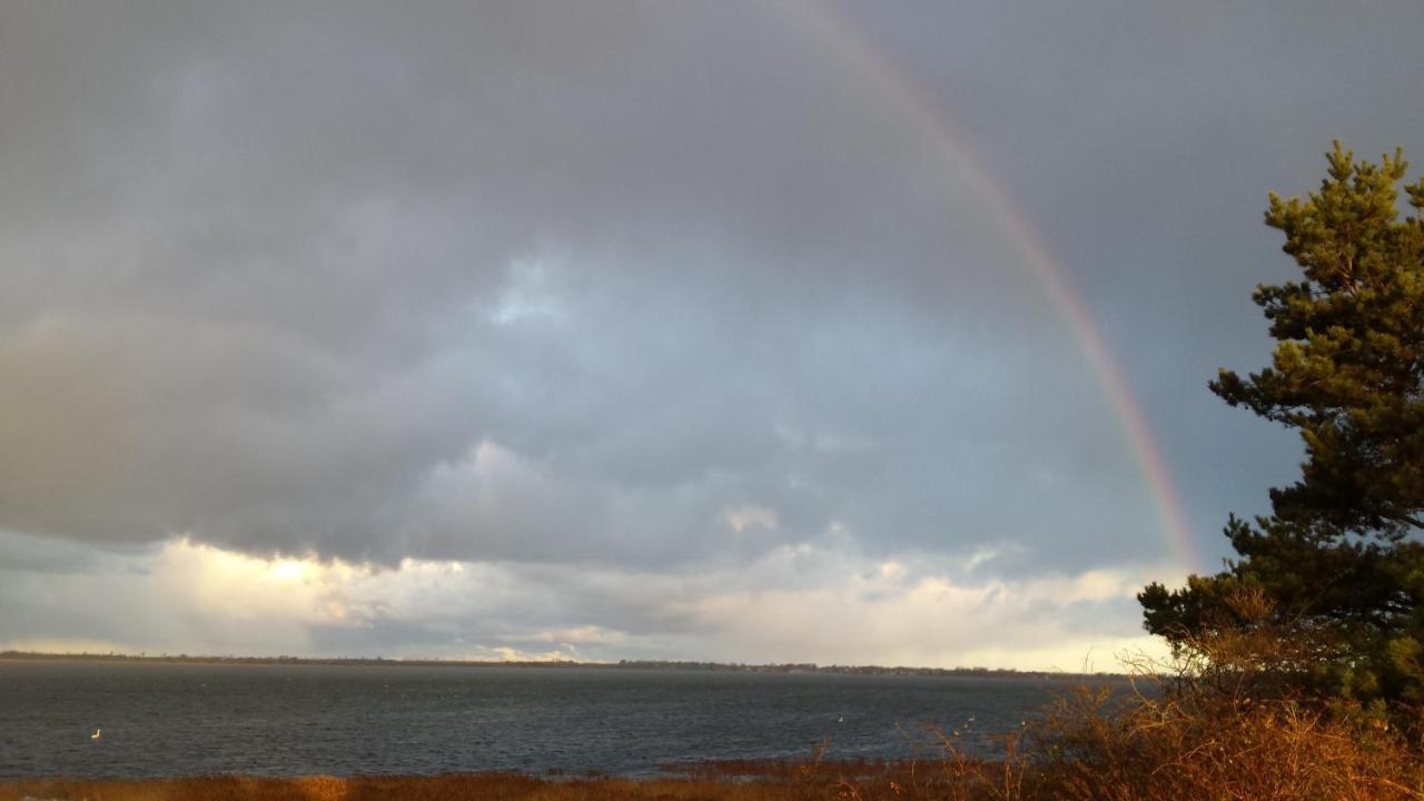 Ostseehaus Odin Doppelhaushaelfte Wiek auf Rügen Esterno foto